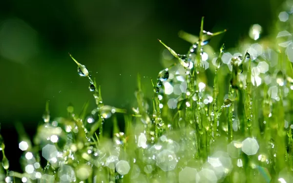 Ecological projects